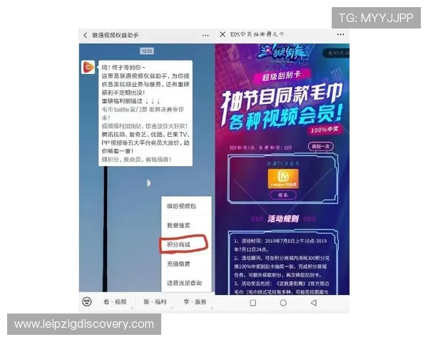 尊龙平台的会员制度详解，享受专属权益和个性化定制服务