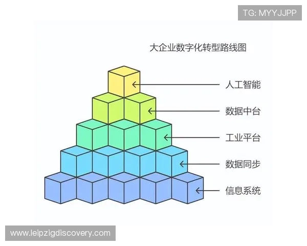 瑞丰体育未来发展趋势：体育行业数字化转型与创新应用深度剖析